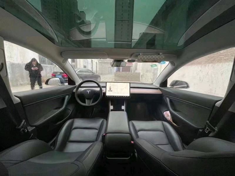 保定19年特斯拉MODEL 31
