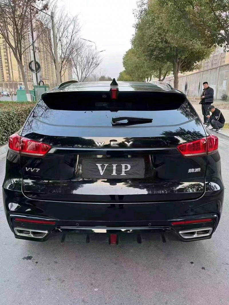 淮北20年長城VV75