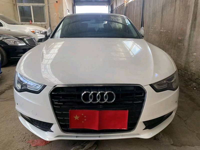 天津14年奥迪A51
