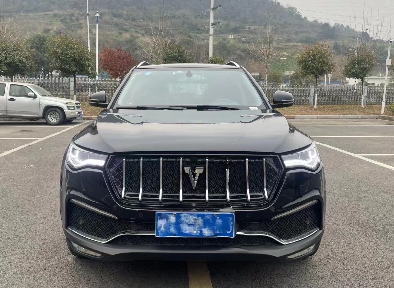宜昌18年眾泰T7009