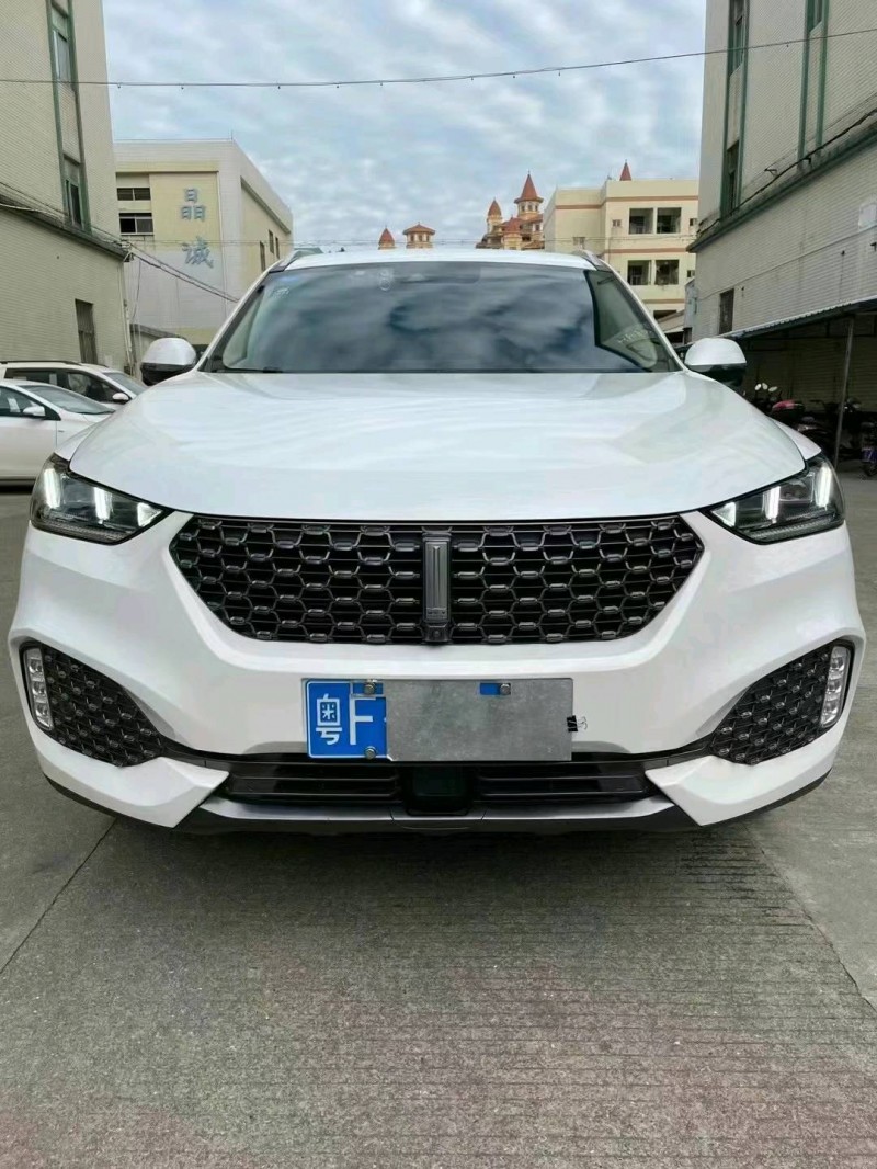 中山19年WEYXEV1