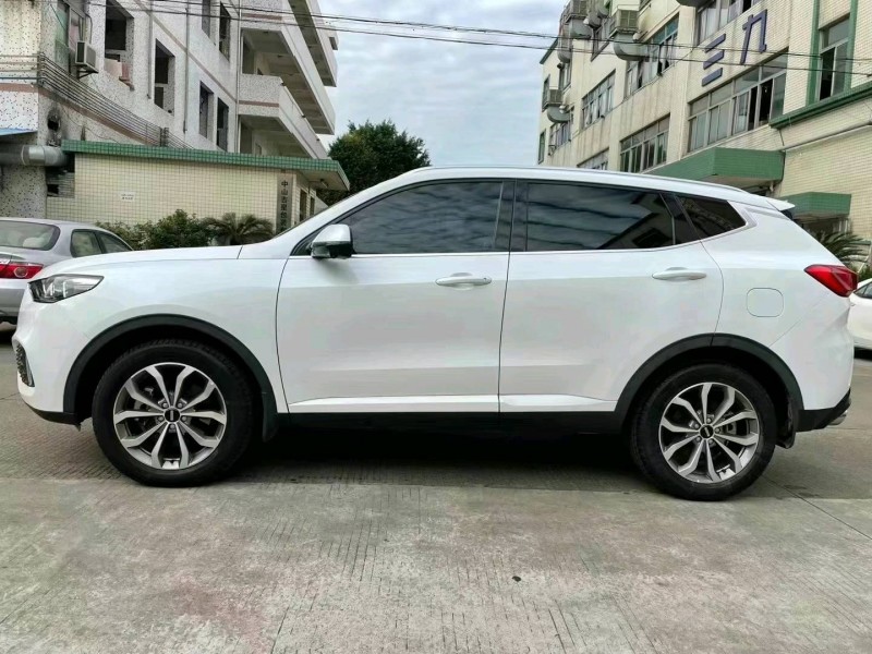 中山19年WEYXEV3