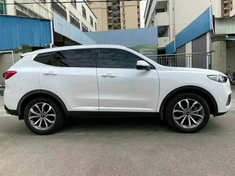 中山19年WEYXEV2