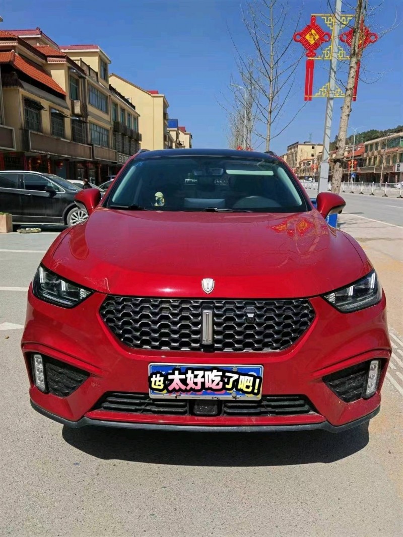 萍鄉20年長城VV51