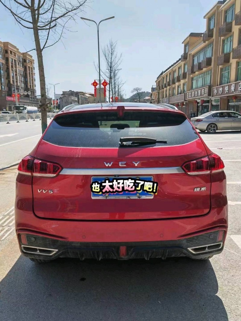 萍鄉20年長城VV52
