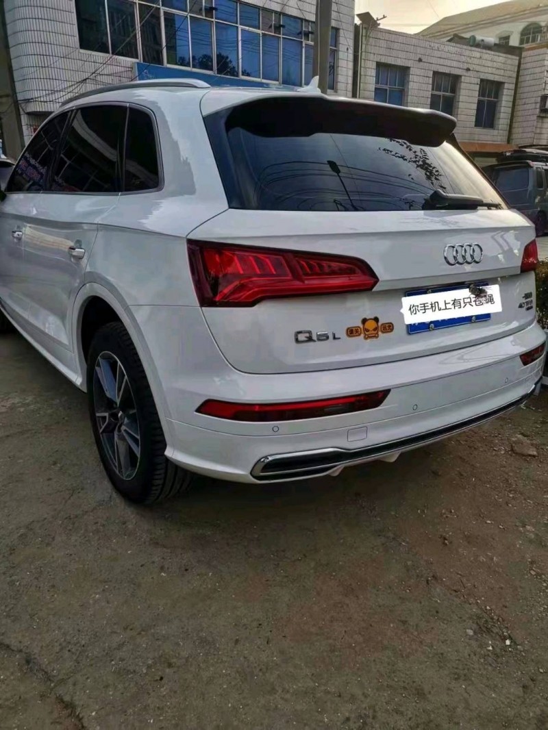 延安20年奧迪Q54