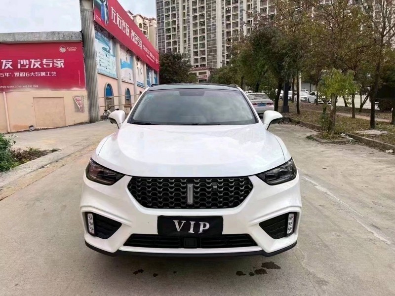 佛山20年長城VV51