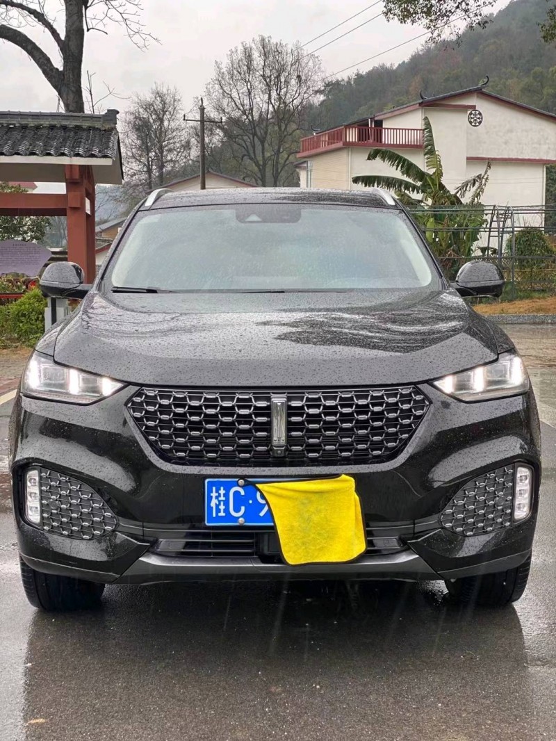 桂林20年長城VV61