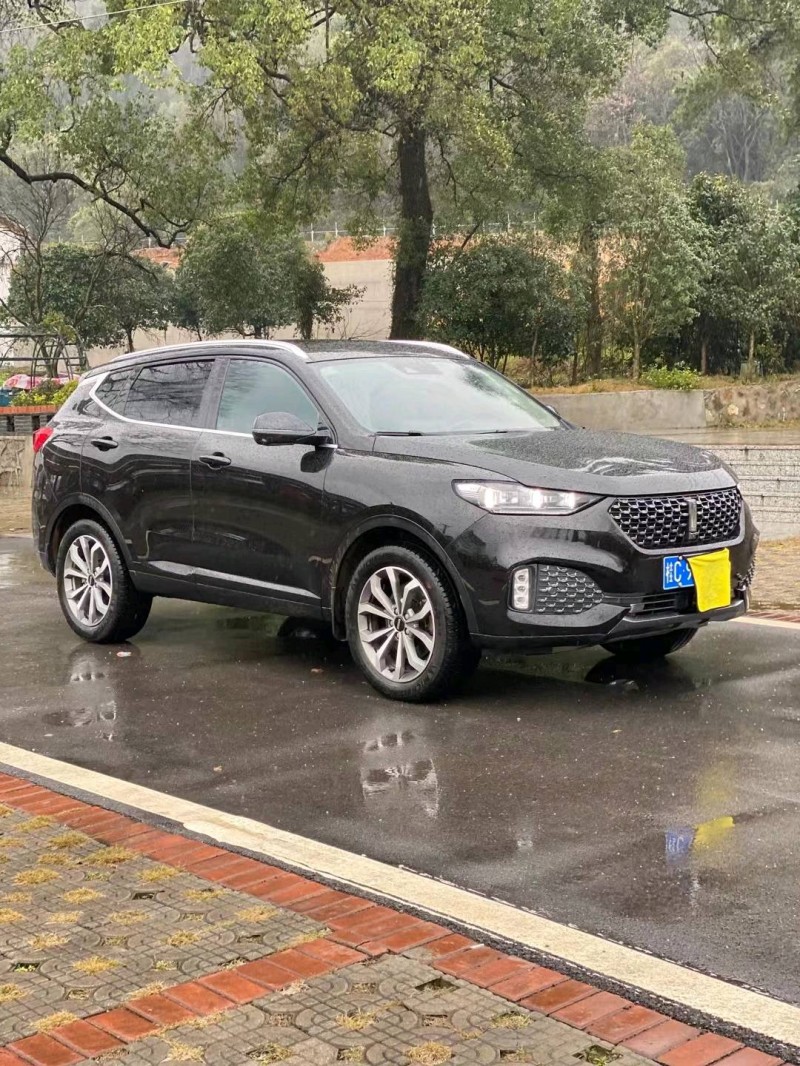 桂林20年長城VV63