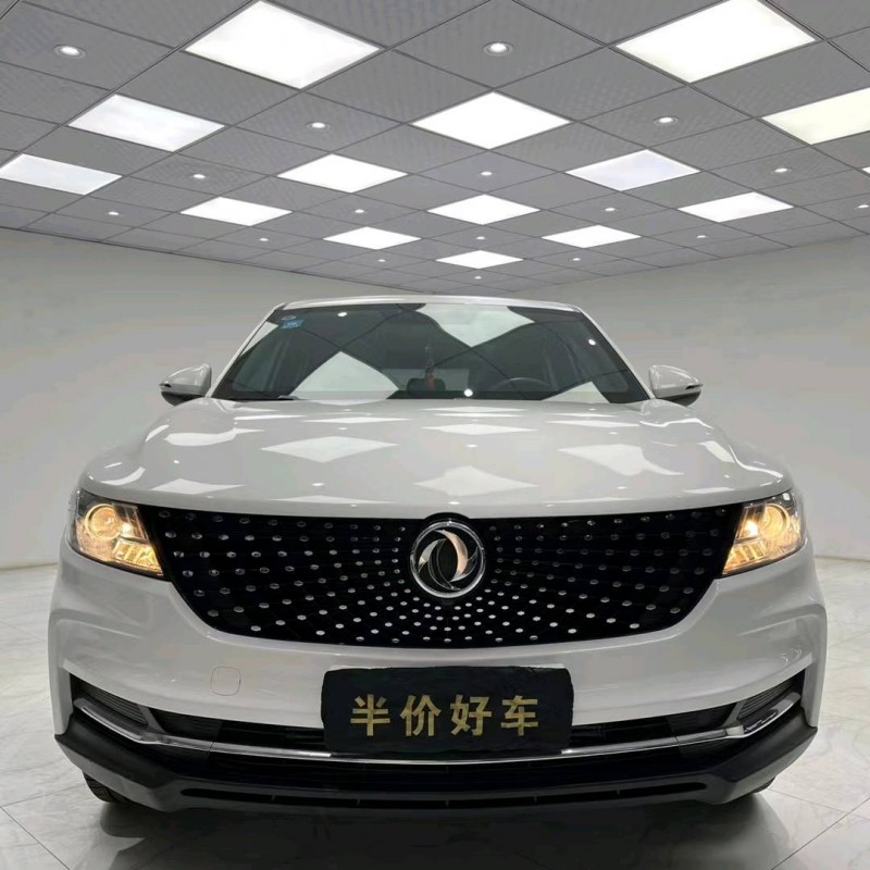 成都20年東風風光1