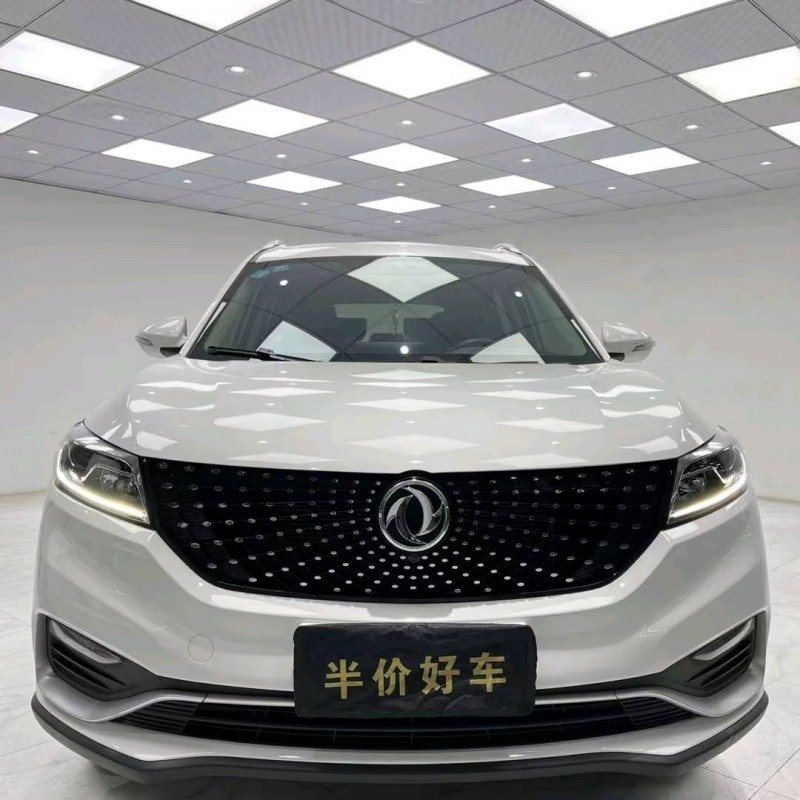 成都20年東風風光1