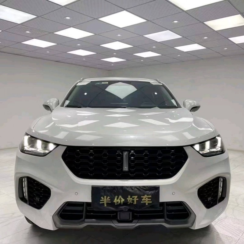 成都19年WEYVV51