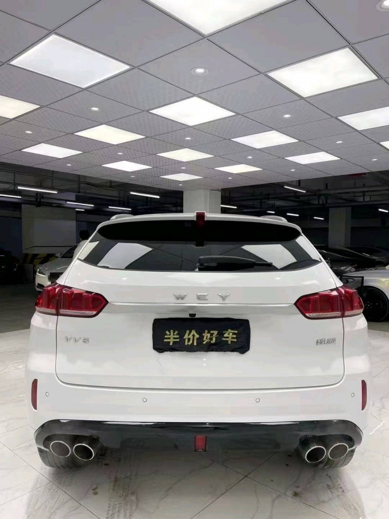 成都19年WEYVV55