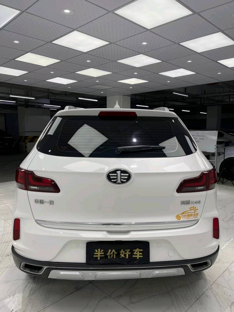 成都20年奔騰X404
