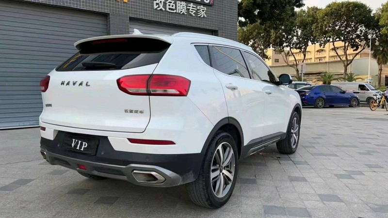 岳陽19年哈弗H69