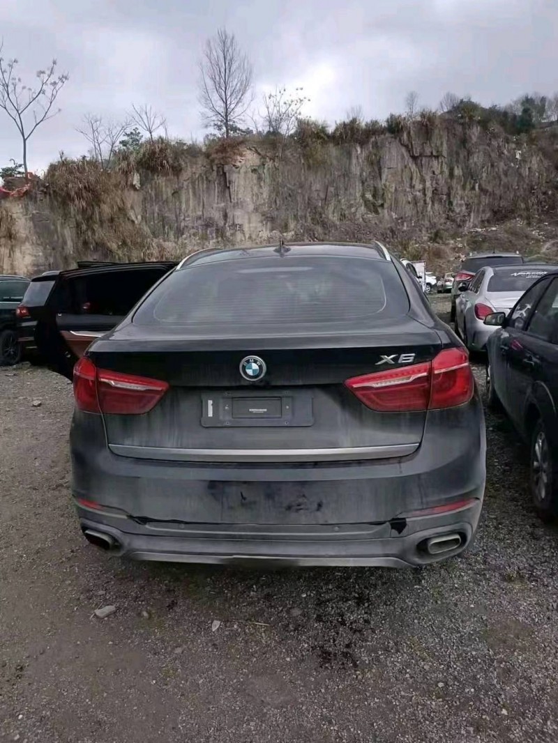 紹興17年寶馬X62