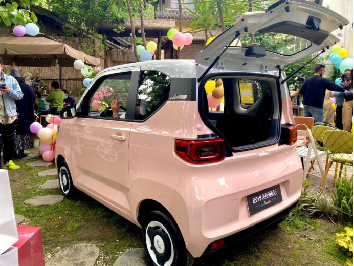 鄭州22年五菱汽車MINIEV馬卡龍3