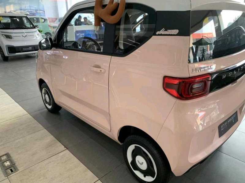 鄭州22年五菱汽車MINIEV馬卡龍4