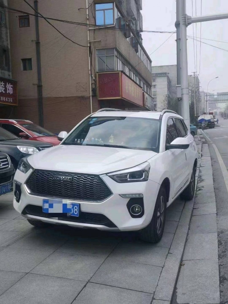 岳陽20年哈弗H63