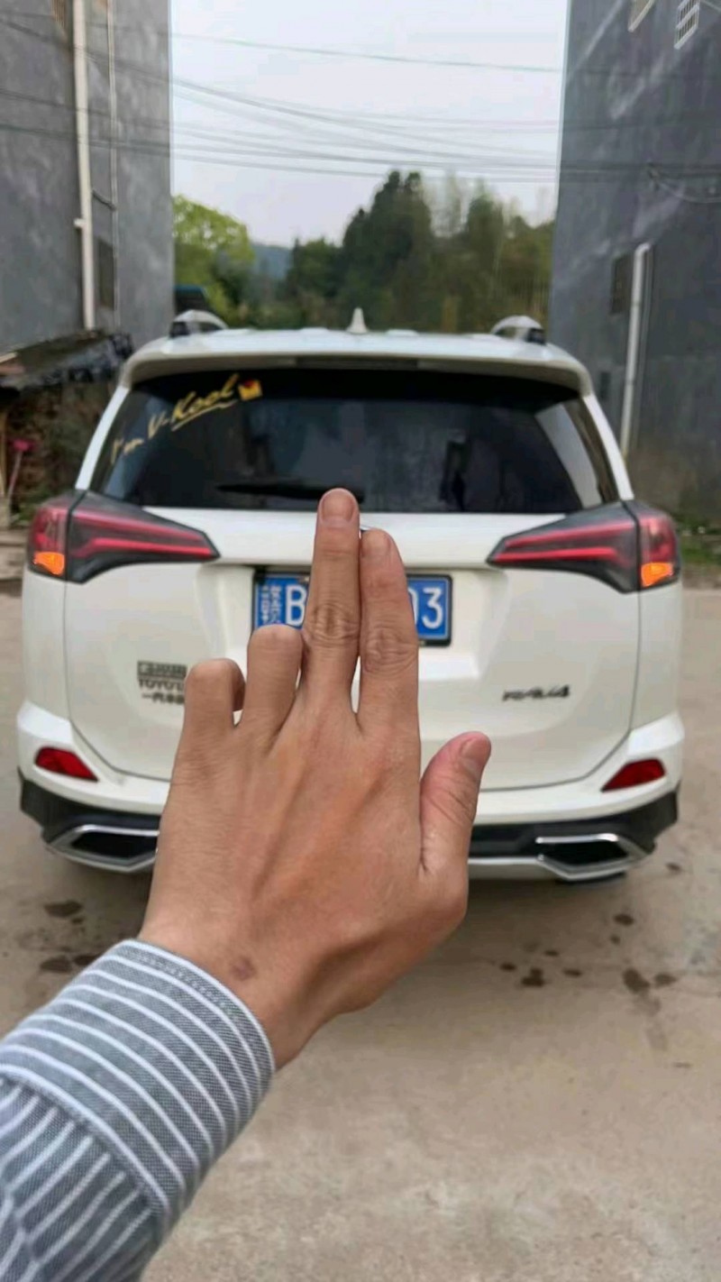 萍鄉17年豐田RAV4榮放9