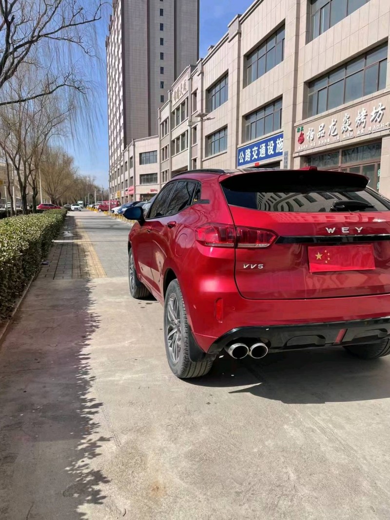 平涼18年長城VV55