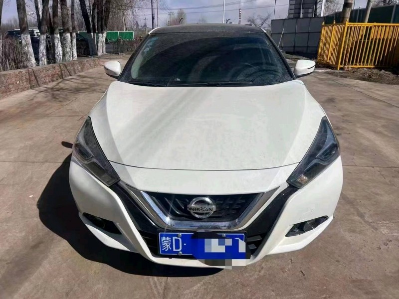 呼倫貝爾19年日產藍鳥1