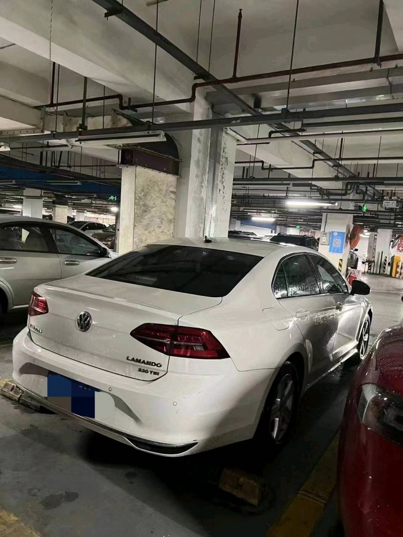 紹興19年大眾凌渡4