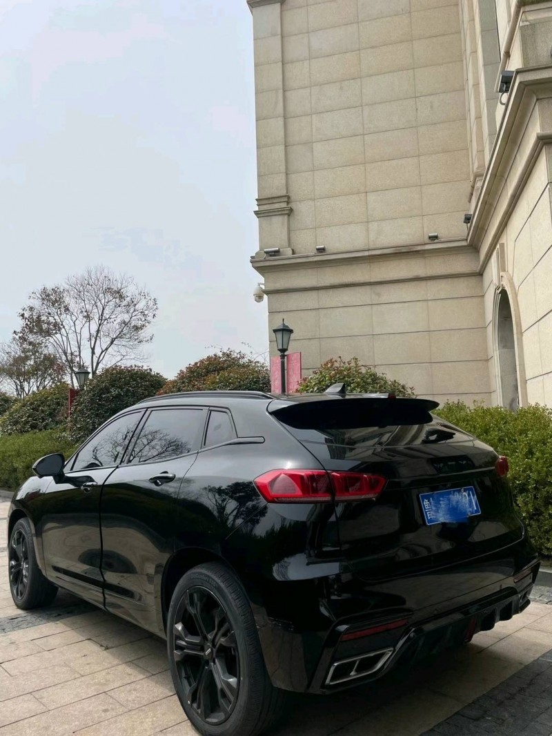青島20年長城汽車WEY VV77