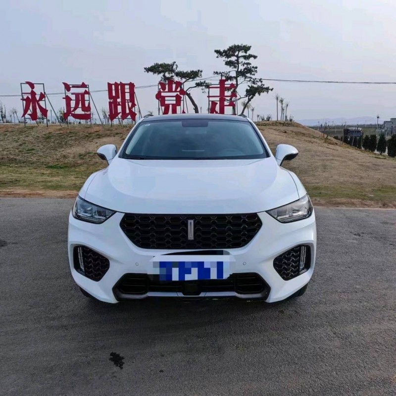 新鄉18年長城汽車WEY VV51