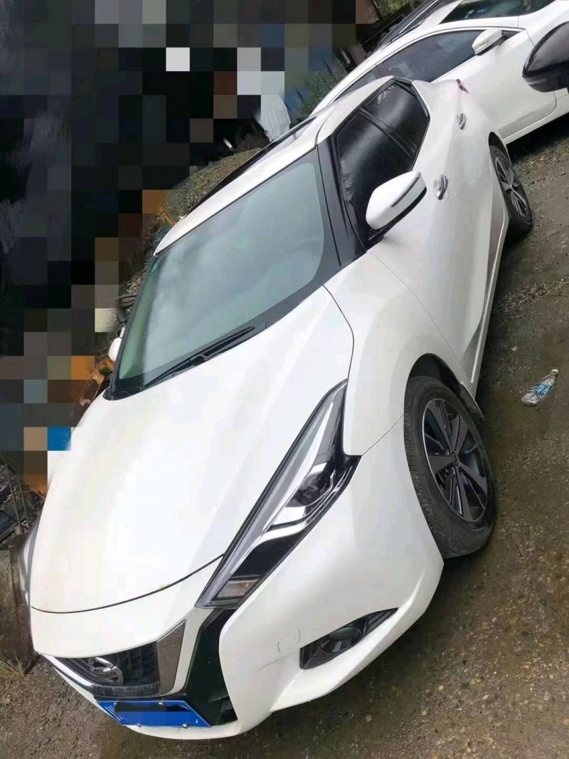 瀘州20年日產藍鳥2