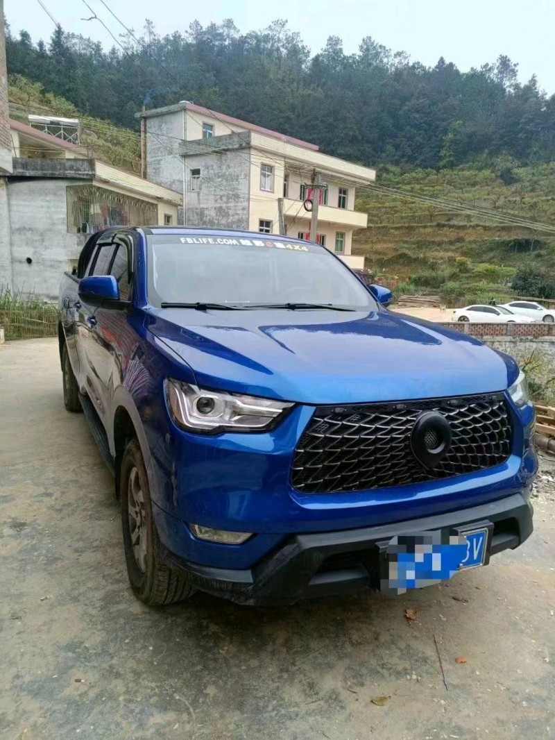 梧州21年長城汽車炮 皮卡8