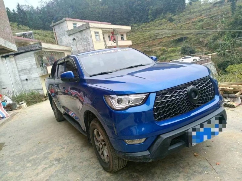 梧州21年長城汽車炮 皮卡6