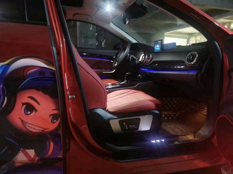 遵義18年長城汽車WEY VV76