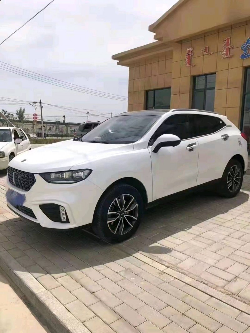 赤峰20年WEYVV52