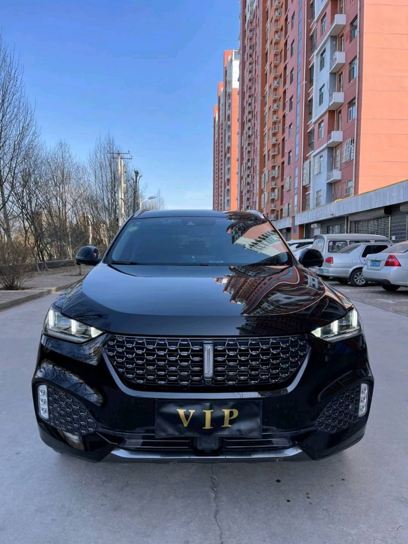 邢臺20年長城汽車WEY VV61