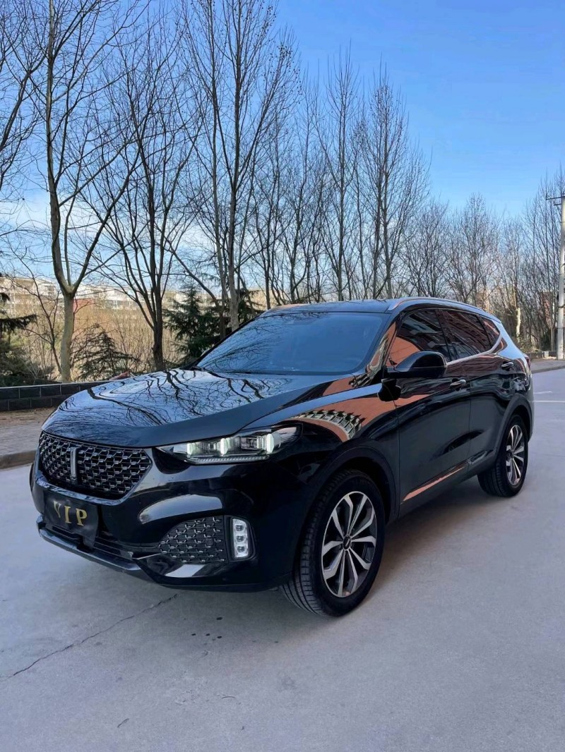 邢臺20年長城汽車WEY VV63