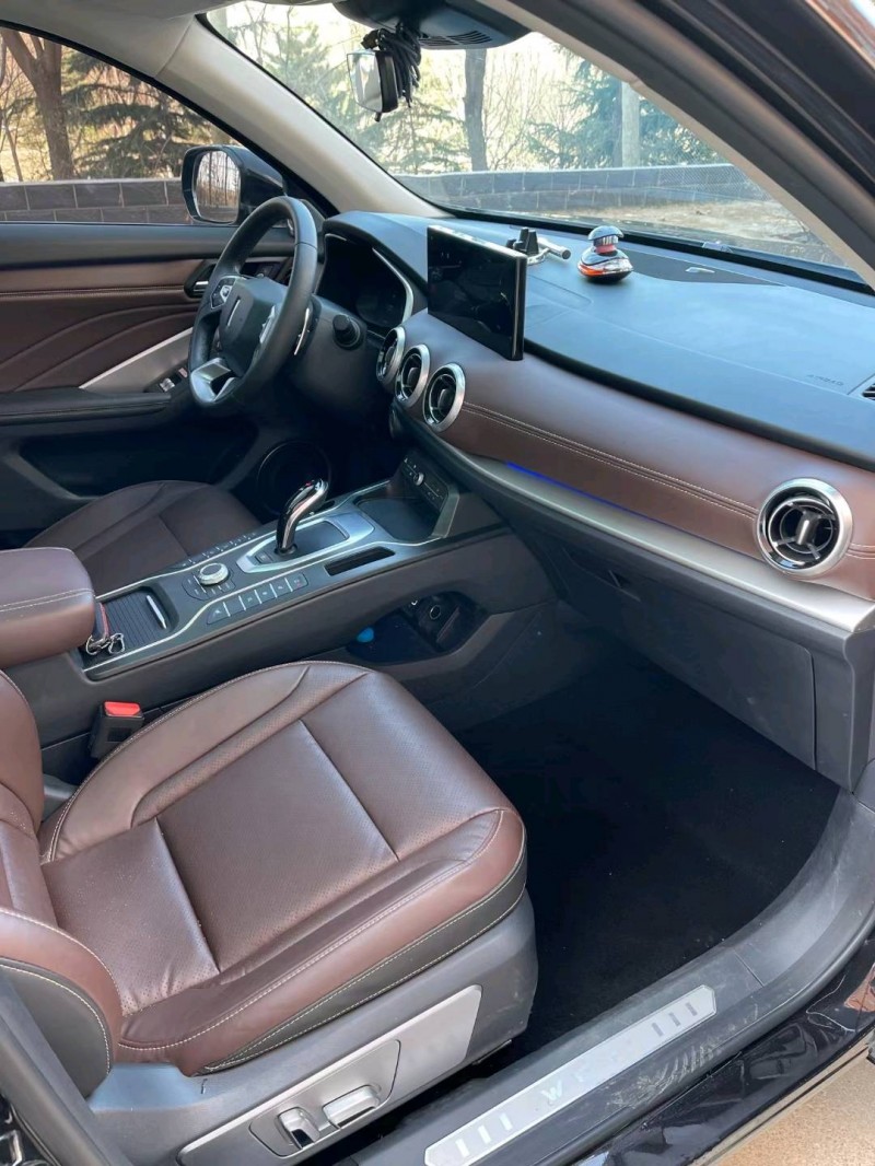 邢臺20年長城汽車WEY VV66