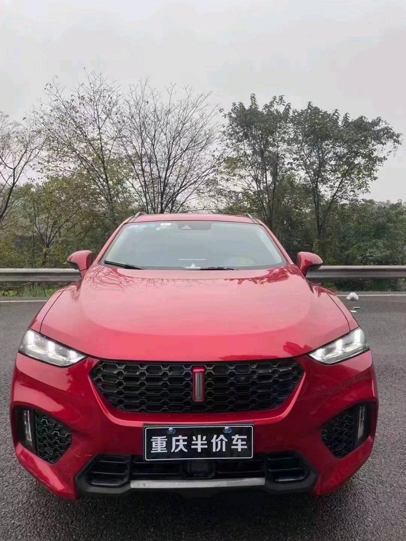 重慶18年長城汽車WEY VV76