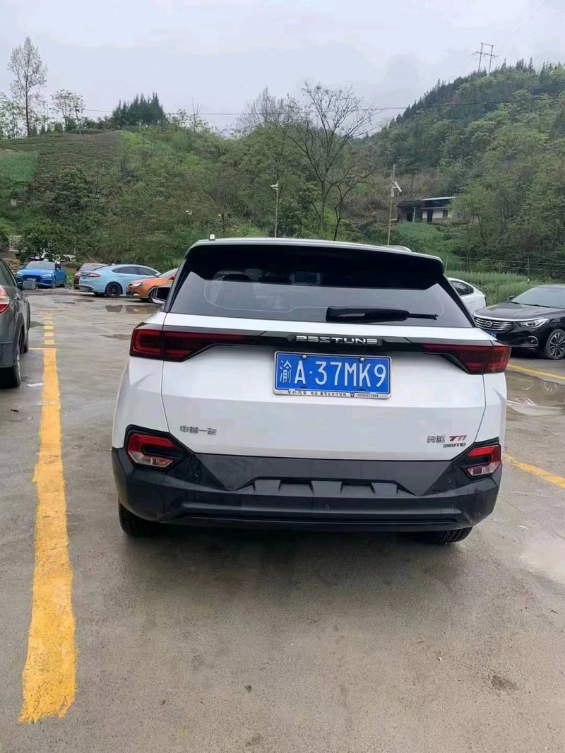 重慶21年奔騰T779