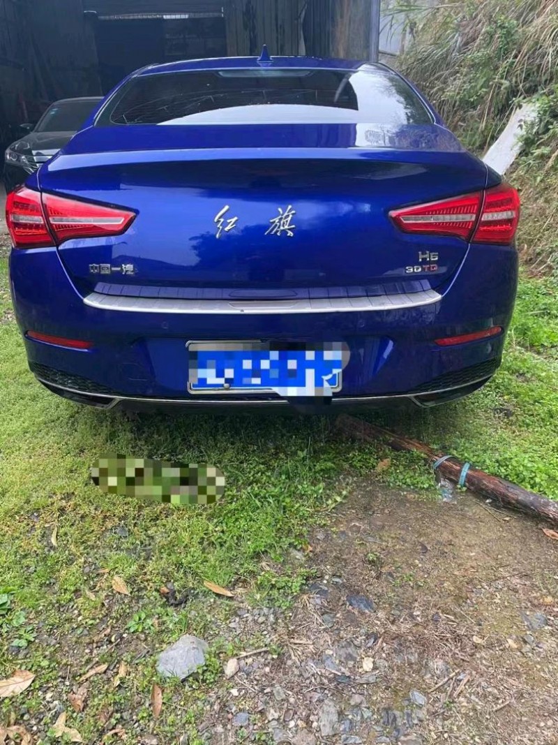 邵陽18年紅旗H54
