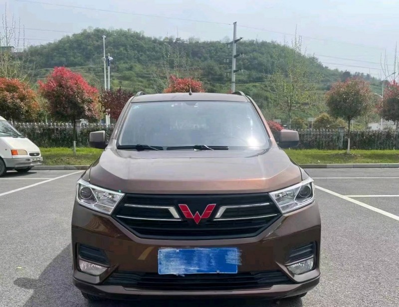 武漢19年五菱汽車宏光1