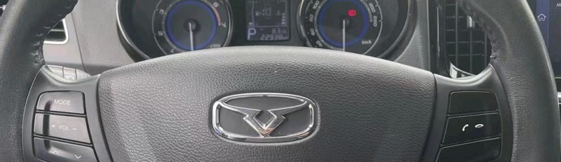 武漢18年凱翼E36