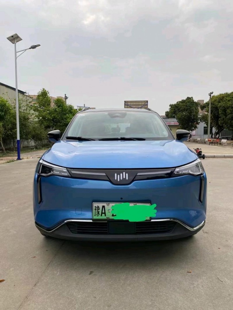 廣州21年威馬汽車W61