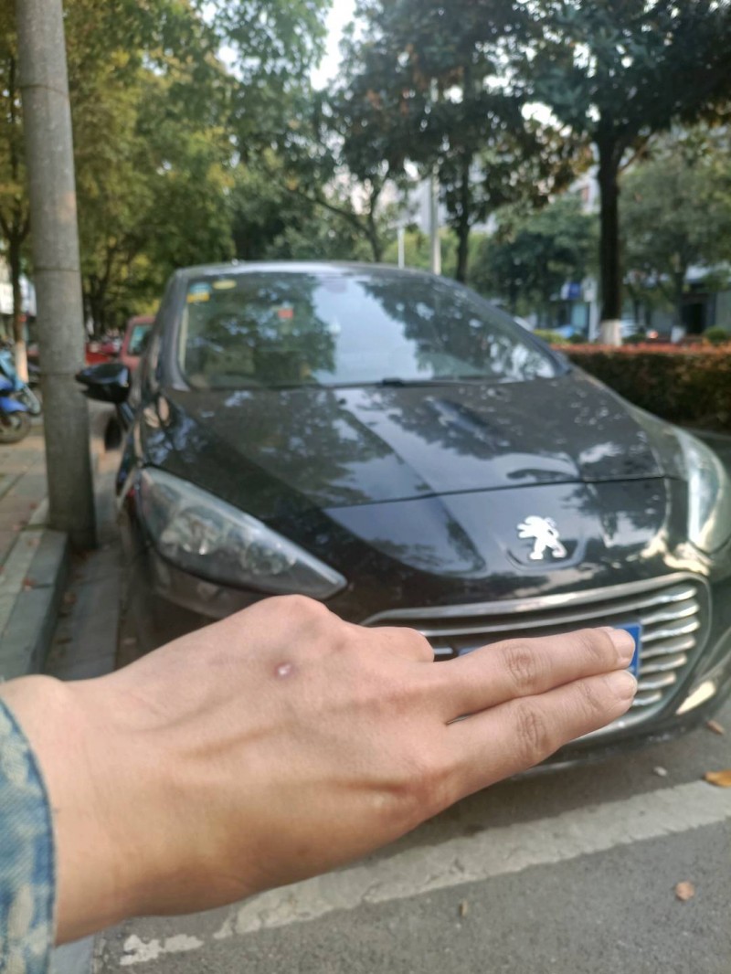 宜昌12年標致3086