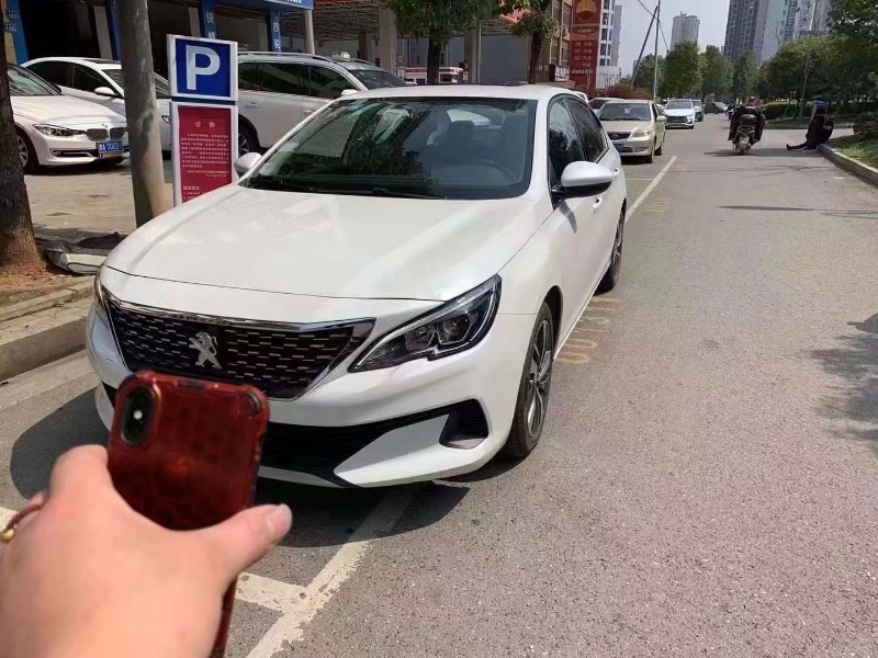 長沙20年標致4085