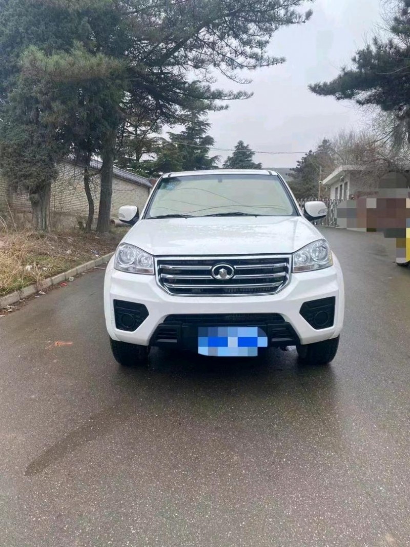 張掖20年長城汽車風駿51