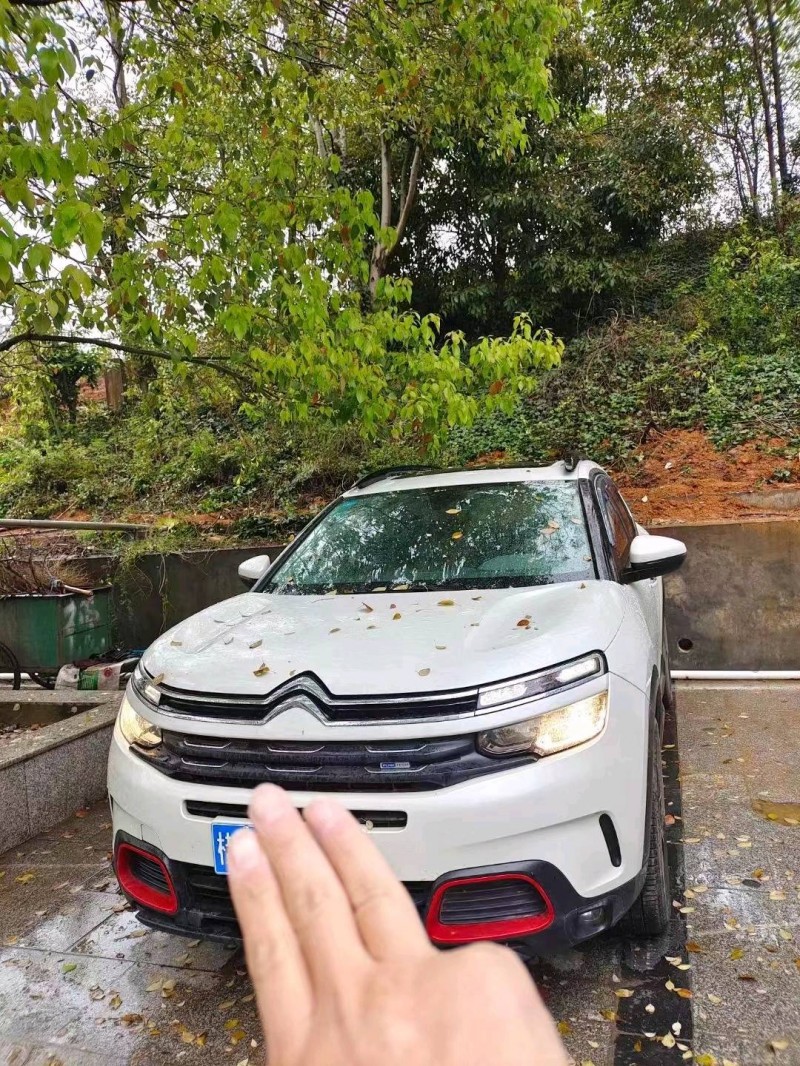 邵陽19年雪鐵龍天逸 C5 AIRCROSS1