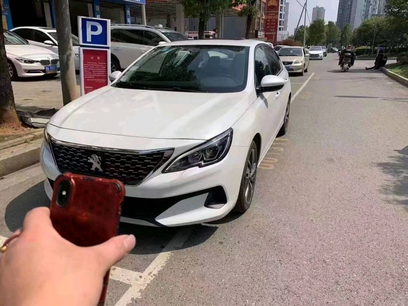 岳陽20年標致4086