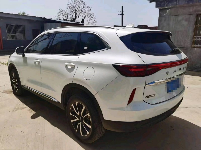 延安20年哈弗H63
