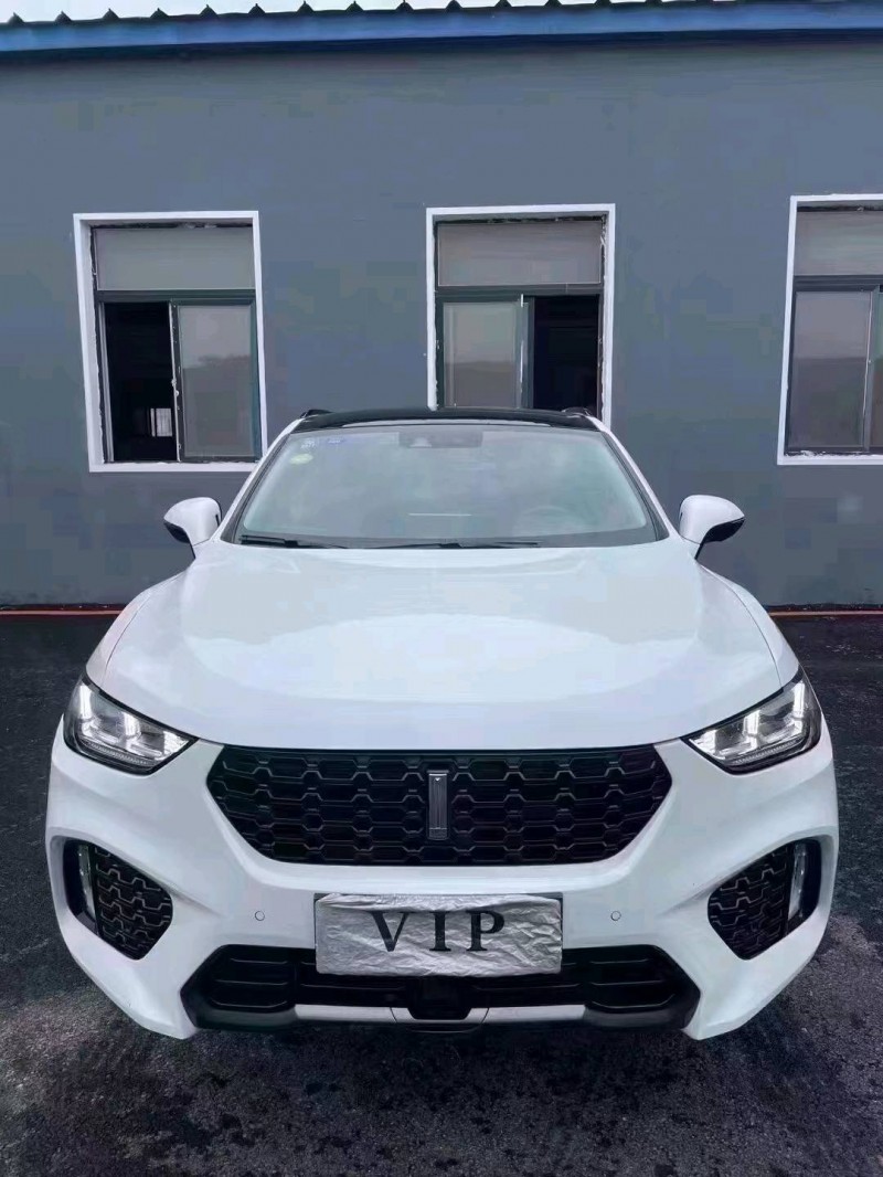 沈陽19年長城汽車WEY VV51